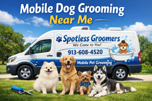 Spotless Gromers Mobile Grooming Near Me